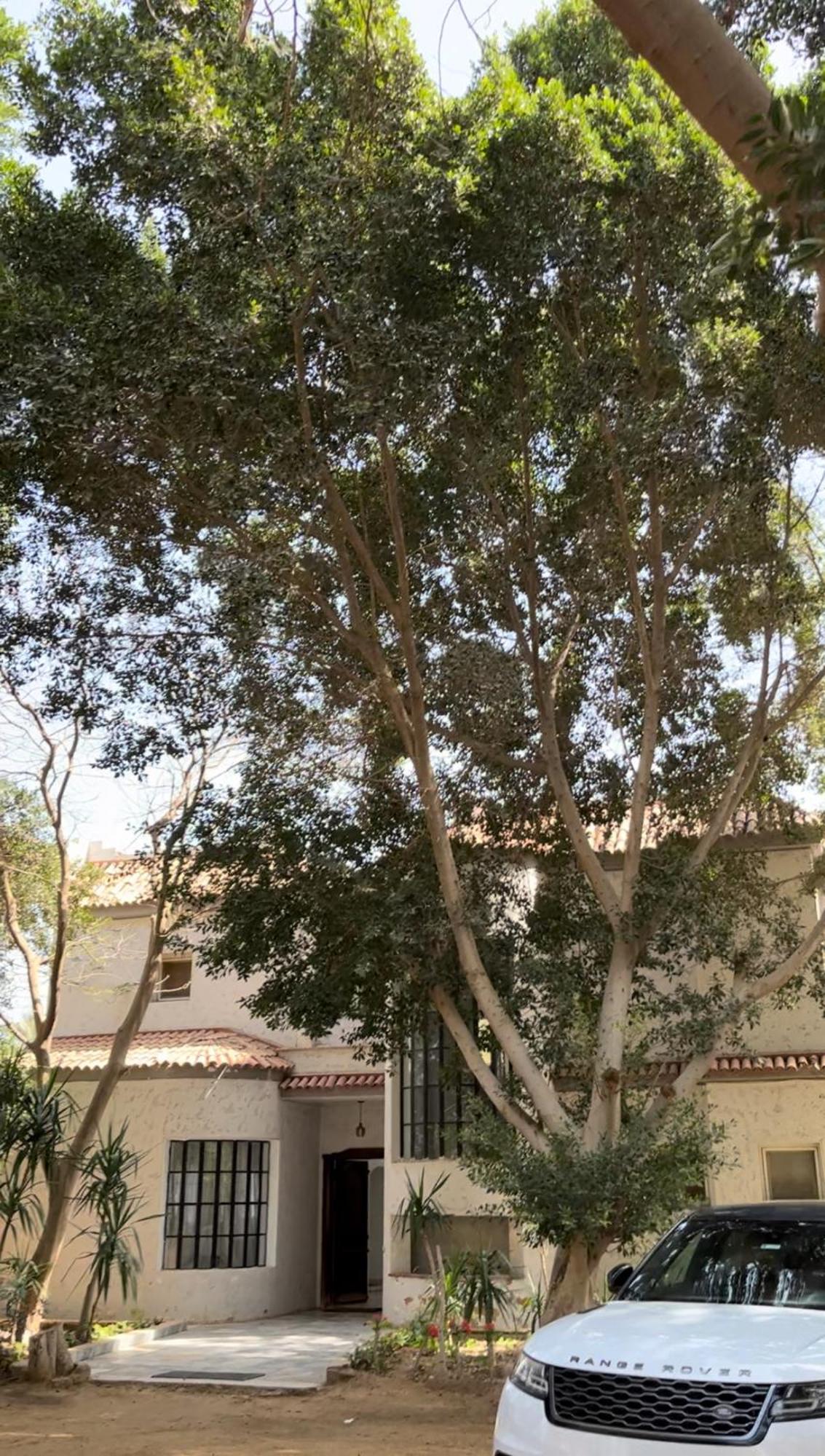 Villa By The Pyramids Cairo Exterior foto