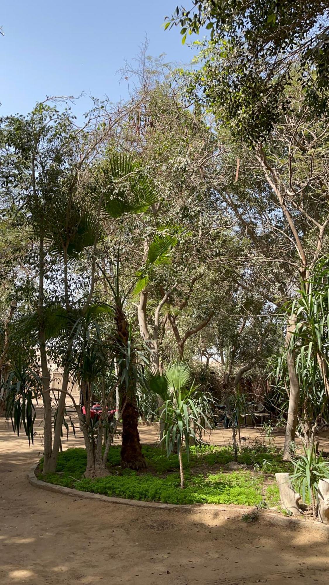 Villa By The Pyramids Cairo Exterior foto